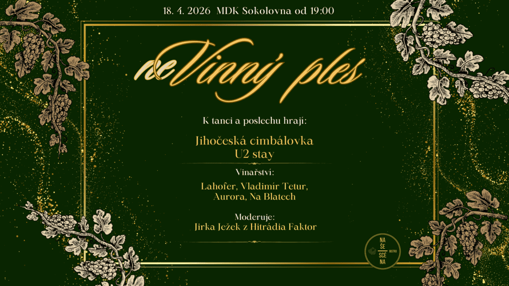 neVinný ples – plakát
