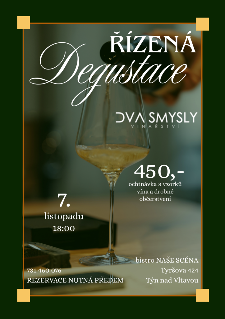 Řízená degustace vinařství DVA SMYSLY – plakát